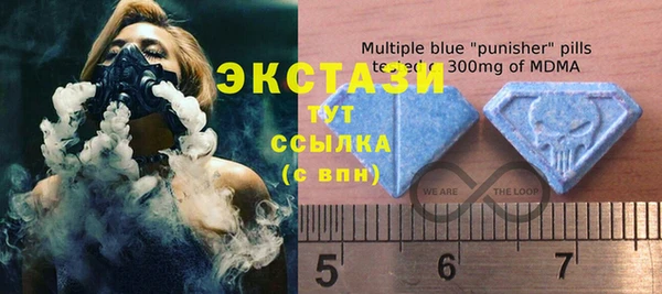 индика Белоозёрский