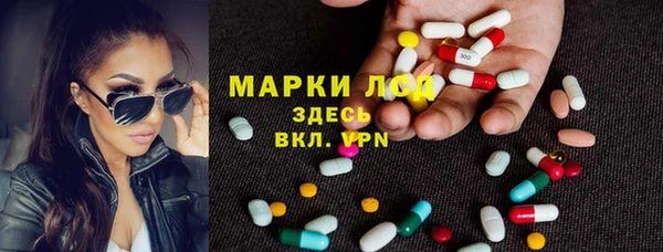 индика Белоозёрский