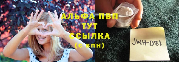 индика Белоозёрский