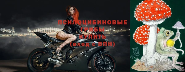 индика Белоозёрский