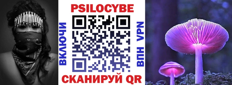МЕГА маркетплейс  Высоковск  Псилоцибиновые грибы мицелий 